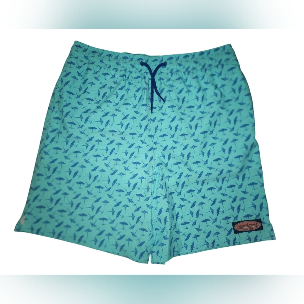 2 Pair of Vineyard Vines Chappy Swim Trunks, Boy's Large​ - Picture 2 of 7